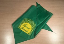 Skarelės su spauda, trikampės