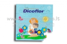 Magnetinės delionės puzzle