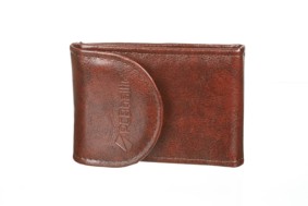 Visit card holder