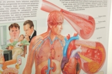 Posteriai, plakatai 3D