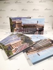 Delionės Puzzle 680x960 mm su dežute