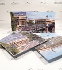 Delionės Puzzle 680x960 mm su dežute