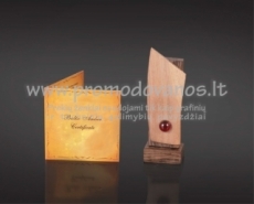 USB with amber