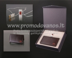 Rinkiniai su gintaru-en