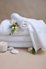 Towel plane