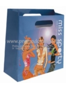 2xB Paper bag with cord handles