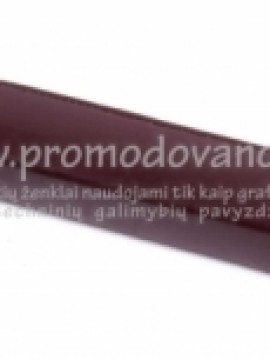 Dėklas rašikliams