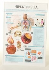 Posteriai, plakatai 3D