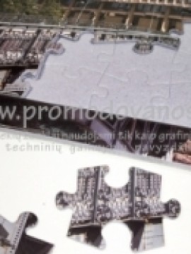 Delionės Puzzle 27x40 mm, su rėmeliu