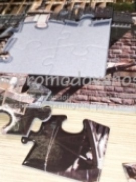 Delionės Puzzle 680x960 mm su dežute