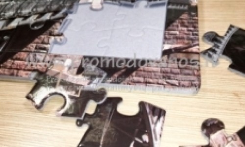 Delionės Puzzle 680x960 mm su dežute