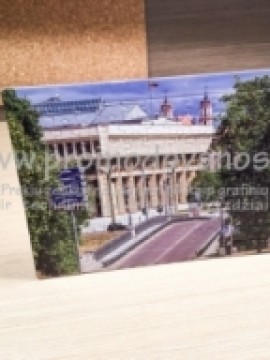 Delionės Puzzle 23x33 mm, su rėmeliu