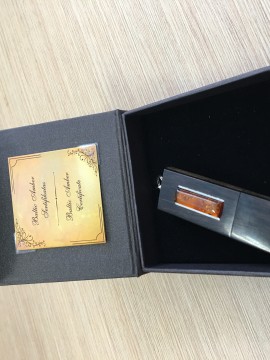 Metaliniai USB su gintaru