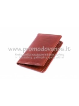 Personal visit card holder SVIZ44C