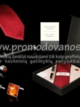 Rinkinys: šilkinis kaklaraištis, sidabrinės sąsagos ir plunksnakotis