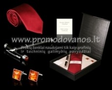 Rinkinys šilkinis kaklaraištis, sidabrinės sąsagos ir plunksnakotis