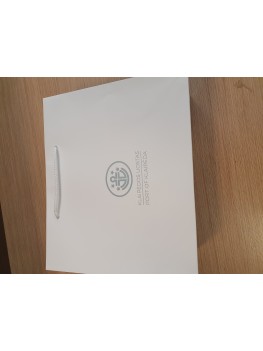 B2 Paper bags with hot stamping